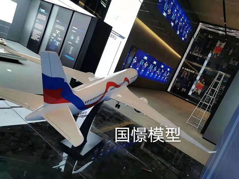都匀市飞机模型